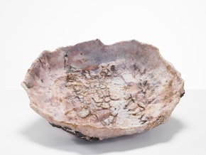 Dish Form